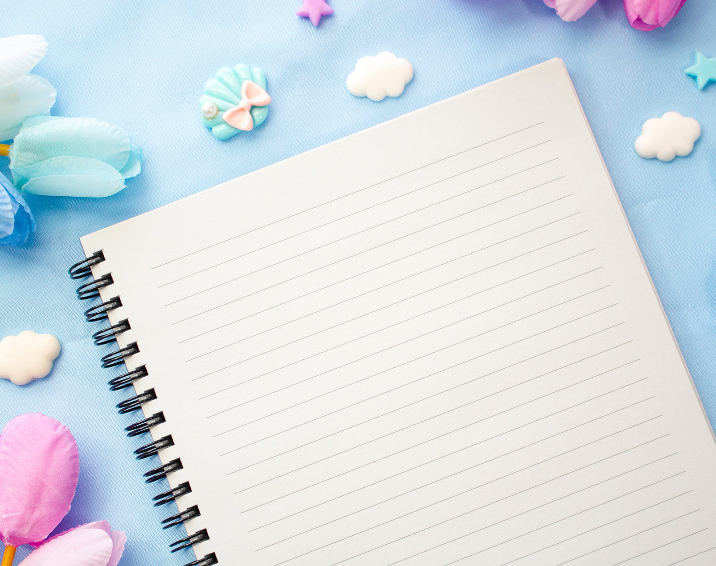 Laundromat Spiral Lined Notebook (7x9")