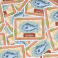 Seabass Sticker